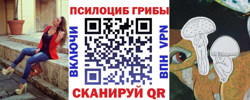 Псилоцибиновые грибы Cubensis  Азнакаево 